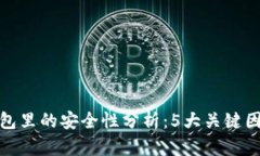 将币提到TP钱包里的安全性分析：5大关键因素你