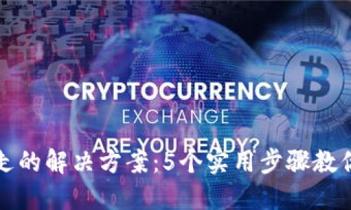 TP钱包币被转走的解决方案：5个实用步骤教你找回丢失资产