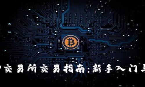 2023年TP交易所交易指南：新手入门与实战技巧
