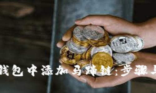 如何在TP钱包中添加马蹄链：步骤与技巧详解