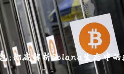 2023年TP钱包：彻底解析Solana生态中的数字资产管理