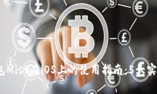 2023年以太坊钱包Mist在iOS上的使用指南：5大实用技巧和注意事项