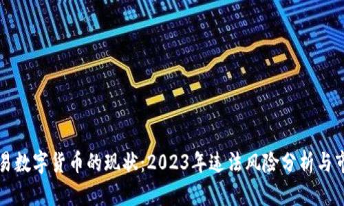 中国交易数字货币的现状：2023年违法风险分析与市场前景