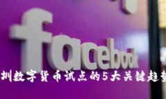 深入探讨：深圳数字货币试点的5大关键趋势与应