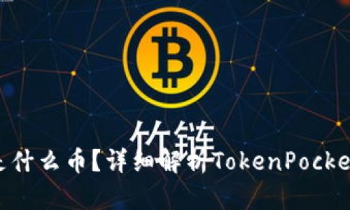 TokenPocket是什么币？详细解析TokenPocket的功能与应用