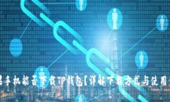 苹果手机能否下载TP钱包？详解下载方式与使用体