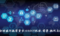 2023年全球央行数字货币（CBDC）现状：前景、挑战