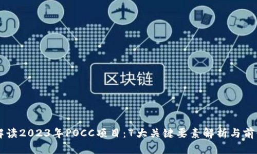 深度解读2023年POCC项目：7大关键要素解析与前景展望