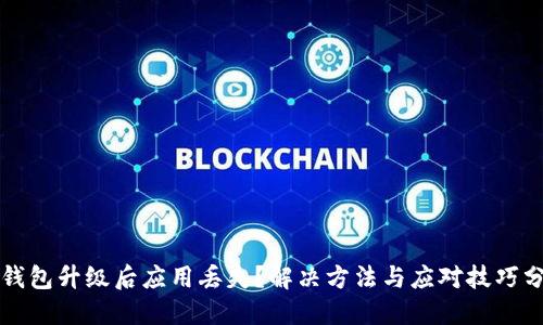 TP钱包升级后应用丢失？解决方法与应对技巧分享