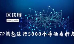 如何通过TP钱包进行5000个币的质押与获取收益