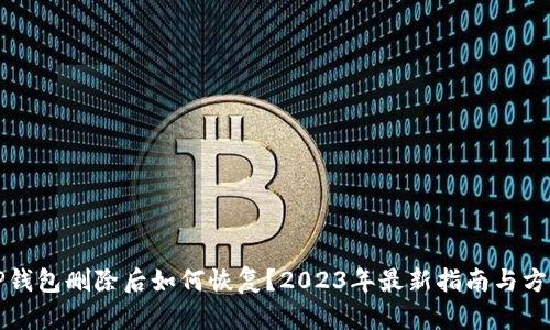 TP钱包删除后如何恢复？2023年最新指南与方法