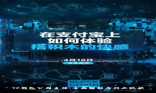 TP钱包公司主体：全面解析与行业现状