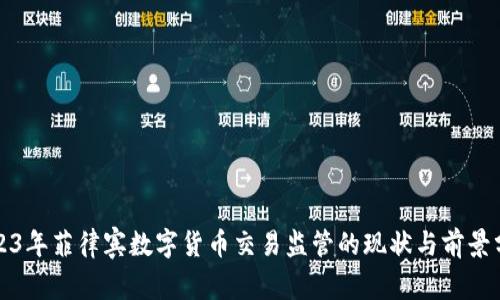 2023年菲律宾数字货币交易监管的现状与前景分析