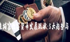 2023年柬埔寨数字货币发展现状：5大趋势与10个启