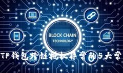 2023年最新解析：TP钱包跨链授权异常的5大常见原