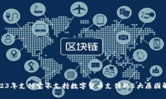 2023年支付宝不支持数字货币支付的5大原因解析