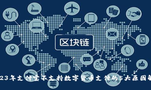 2023年支付宝不支持数字货币支付的5大原因解析