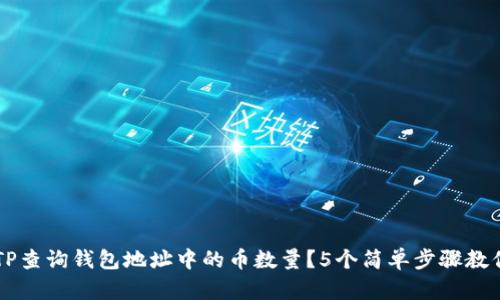 如何使用TP查询钱包地址中的币数量？5个简单步骤教你轻松上手