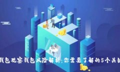 TP钱包观察钱包风险解析：你需要了解的5个关键