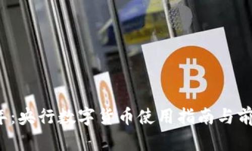 2023年：央行数字货币使用指南与前景分析