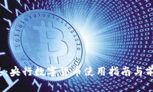 2023年：央行数字货币使用指南与前景分析