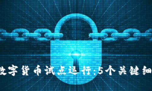 2023年央行数字货币试点运行：5个关键细节与影响分析