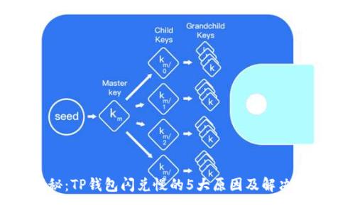揭秘：TP钱包闪兑慢的5大原因及解决方法