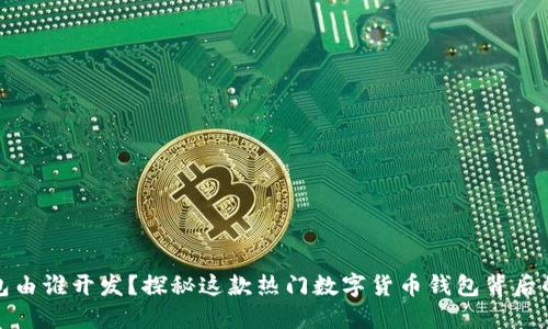TP钱包由谁开发？探秘这款热门数字货币钱包背后的团队