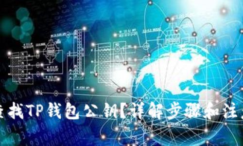 如何查找TP钱包公钥？详解步骤和注意事项