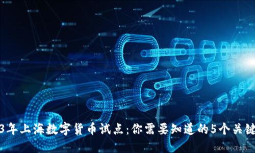 2023年上海数字货币试点：你需要知道的5个关键要点