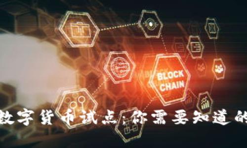 2023年上海数字货币试点：你需要知道的5个关键要点